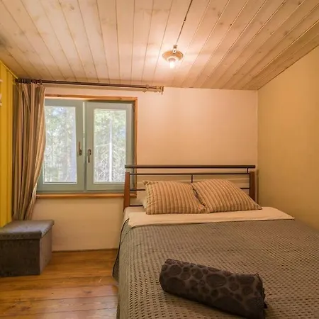 Elupuu Forest With Sauna