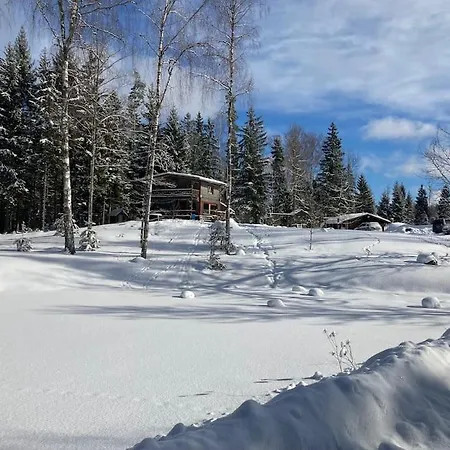 Elupuu Forest With Sauna Nooska