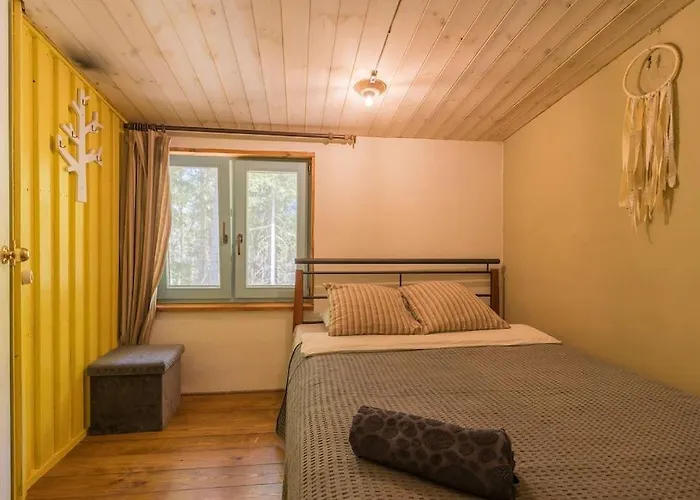 Elupuu Forest With Sauna