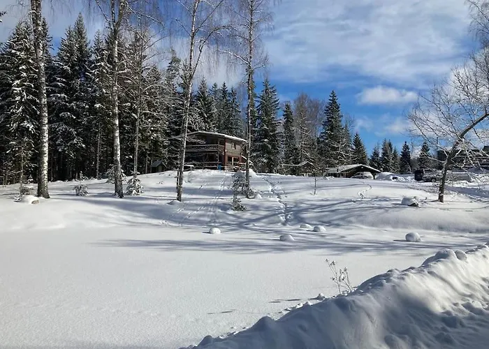 Elupuu Forest With Sauna Nooska