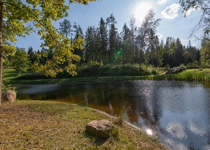Elupuu Forest With Sauna Hébergement de vacances
